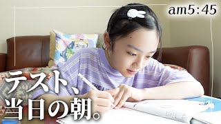 【テスト当日】中3初テストの2日目朝のルーティン♪早起きして勉強した結果・・・ [upl. by Robinette]