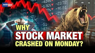 Stock market crash Whats the reason behind the stock market crash today Expert explains [upl. by Hake]