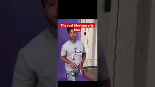 The Mexican crip Mac music memepage viralshort trending [upl. by Annoved681]