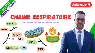 7 chaine respiratoire séance interactive [upl. by Yatnod]