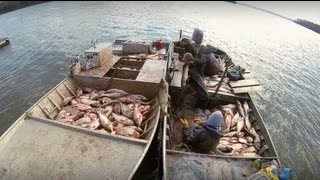 Carp Madness  Commercial Fishing Tournament [upl. by Ttenaj675]