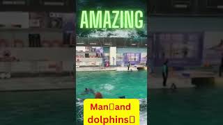 🐬Amazing Dolphins Dance🐬 [upl. by Mashe463]