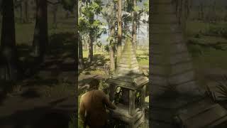 6 GOLD BARS in 5 STEPS Landmarks of Riches Map rdr2 gaming funny shorts [upl. by Ahsekad]