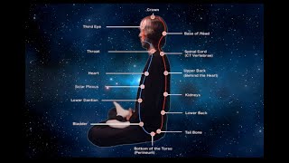 THE MICROCOSMIC ORBIT  ULTIMATE VERSION Powerful Qigong Healing Meditation [upl. by Anigue]