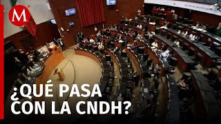 Senado aprueba terna para la presidencia de la CNDH [upl. by Bois447]