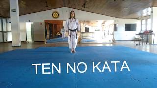 TEN NO KATA  SHITO RYU [upl. by Apul]