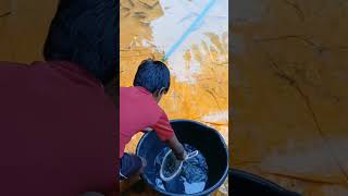 എന്റെ സ്വന്തം കുളം fishpond cleaning youtubeshorts [upl. by Kolodgie840]