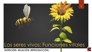 Los seres vivos Funciones vitales [upl. by Lithea]