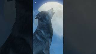 Wolf Sounds 🐺 Wolves Howling At Moon [upl. by Ayn464]