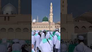 Beautiful New Naat💕muhammad madina ytshorts youtubeshorts sunnimuslim98 [upl. by Aicener]