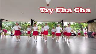 Try Cha Cha Line Dance High Beginner [upl. by Ahtebat]