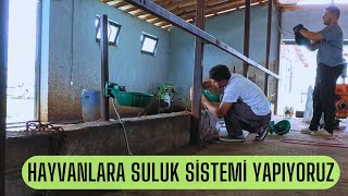 SULUK TESİSATI VE MONTAJI  HAYVANLARA TEMİZ SU [upl. by Wayne]