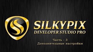 Silkypix developer studio ЧАСТЬ  3 Дополнительные настройки [upl. by Yared]