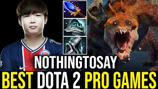 NothingToSay  Primal Beast Mid  Dota 2 Pro Gameplay Learn Top Dota [upl. by Ahsenad890]