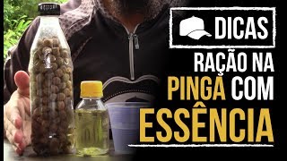 DICAS 87  RAÇÃO NA PINGA COM ESSÊNCIA [upl. by Island125]