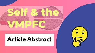 THE VMPFC 🧠  What Does It Do  Self Attachment amp the vmPFC [upl. by Swords]