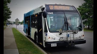 FINAL DAY YRT  2010 ElDorado EZ Rider MAX BRT  1065  Bus Ride on Route 320 Newmarket Express [upl. by Thorbert]