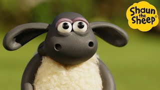 Shaun the Sheep 🐑 TIMMY TIME RIGHT NOW  Cartoons for Kids 🐑 Full Episodes Compilation 1 hour [upl. by Haskell]