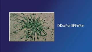 Rifit Plus Weeds Video Syngenta India [upl. by Eladal155]