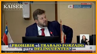 ¿PROHIBIR el TRABAJO FORZADO para DELINCUENTES ¿Por qué [upl. by Yelraf]