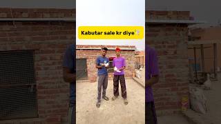 Kabutar sale kr diye🕊️ petlover minivlog pigeonvlogger pigeon kabutar birds sale viralshort [upl. by Wilkie]