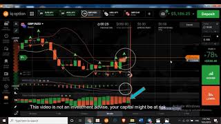 IQ Option New Method Gator Oscillator and MACD Strategy 100 Winning 2019 [upl. by Thinia]