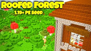 Minecraft ROOFED FOREST SEED bedrock ROOFED FOREST MANSION  Best Minecraft 119 Seeds Bedrock [upl. by Yrhcaz202]