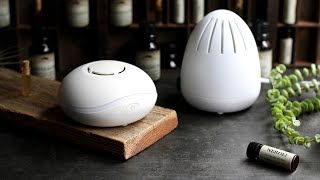 Top Rated Waterless Essential Oil Diffusers in 2024 [upl. by Valerie]