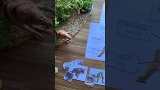 Dinosaur Unit Study homeschooling educational unitstudy unschooling montessori homeeducation [upl. by Nosreg]