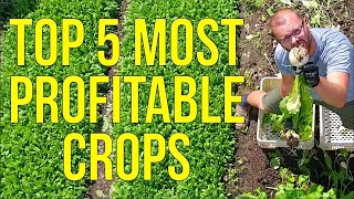 Unlock the Secret to Maximum Profits The Top 5 Most Lucrative Crops for Market Gardeners Revealed [upl. by Baillie106]