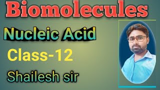 Nucleic acid Biomolecules in chemistry Class 12Shailesh sir [upl. by Naux]