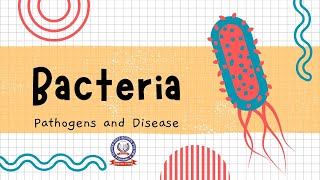 Bacteria Pathogens and Disease  Understanding How Bacteria Impact Health [upl. by Drescher]