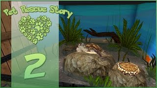 Pet Rescue Story  Turtles for Adoption  Episode 2 [upl. by Ennayhc]