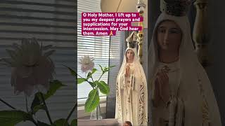 O Holy Mother Mary intercede for me Amen avemaria maria mary motherofgod [upl. by Natsirk]