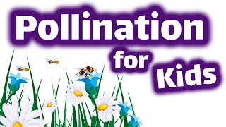 Pollination for Kids [upl. by Beverley656]