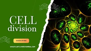 Cell Division The Secret of Life plant lover journal [upl. by Haidebej]