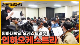 동아리가 알고 싶다 캠퍼스에서 마음이 웅장해지는 소리가 들린다면 이곳입니다🎻 인하오케스트라 [upl. by Aicatsanna77]