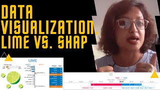 Data Visualization with Python Lime and SHAP Libraries [upl. by Atnoid]