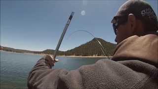 Quemado Lake New Mexico fly fishing with PooP Syde [upl. by Grantham]