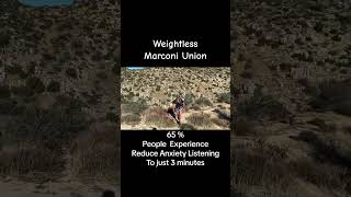 Easing Anxiety with Paul Greene The Soothing Power of Weightless by Marconi Union 🌟💆‍♂️ [upl. by Uaerraj]