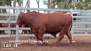 Lot 18 DRENSMAINE LUMBERJACK [upl. by Magner]