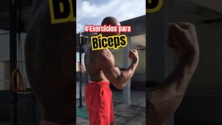 4 Exercícios para BÍCEPS calistenia biceps [upl. by Medora803]