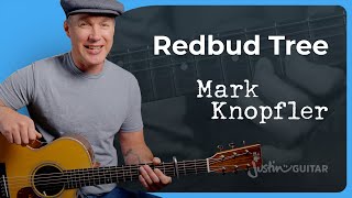 Mark Knopfler told me how to play Redbud Tree [upl. by Llennahc]