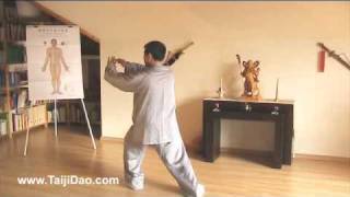 Meister Shen Xijing Was ist Taijiquan Teil 2  Trainingsmethoden [upl. by Jermyn]