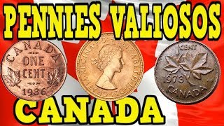 PENNIES VALIOSOS DE CANADA BUSCALOS UNO CON VALOR  442000 Dlls [upl. by Haraj]