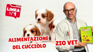 Alimentazione del cucciolo ZIO VET [upl. by Cirilla]