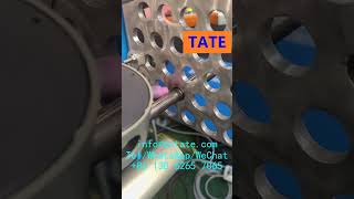 Machines de soudage TIG automatique pour la transformation des aliments et des boissons en 2024 tig [upl. by Veta]