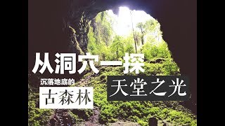 印尼日惹Vlog沉落地底的古森林，从洞穴一探天堂之光 甜辣椒印尼传统乐器演奏贡多拉印度尼西亚旅游攻略 [upl. by Knepper]