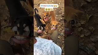 kekra beta ham  bauwa bauwakahab🐕🐕🐕 [upl. by Millie]