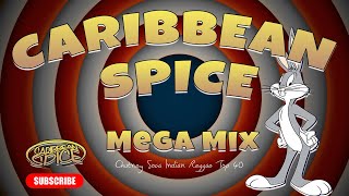 2024 Caribbean Spice Mega Mix [upl. by Ettolrahs]